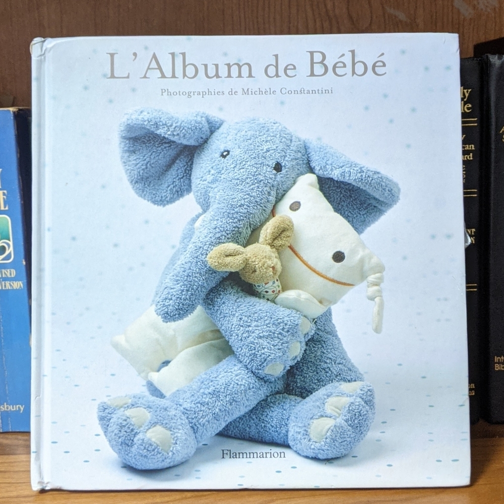 L' Album de Bebe Photographies de Michele Constantini (Very Good/Never Used)